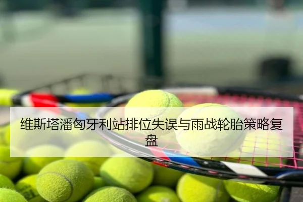 维斯塔潘匈牙利站排位失误与雨战轮胎策略复盘