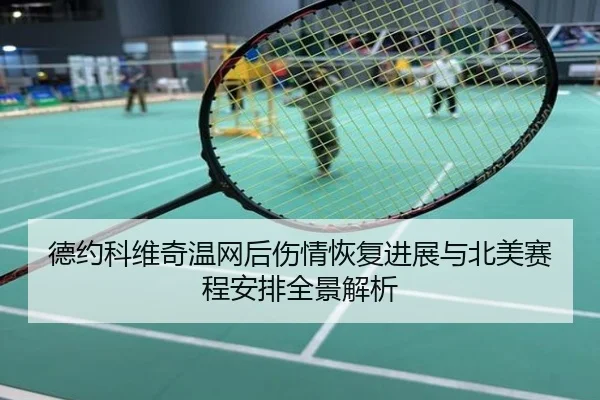 德约科维奇温网后伤情恢复进展与北美赛程安排全景解析