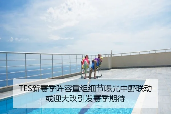 TES新赛季阵容重组细节曝光中野联动或迎大改引发赛季期待